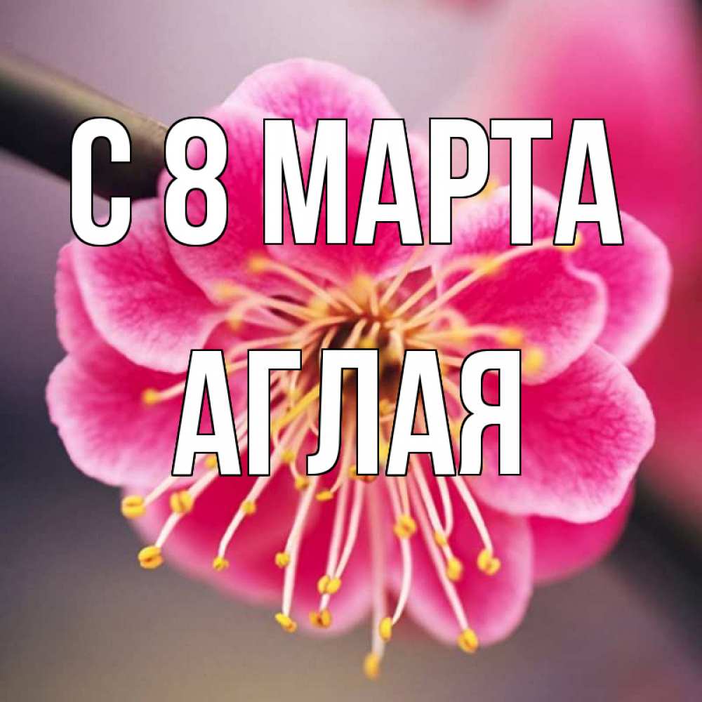 Открытка на каждый день с именем, Аглая С 8 марта цветы Прикольная открытка с пожеланием онлайн скачать бесплатно 