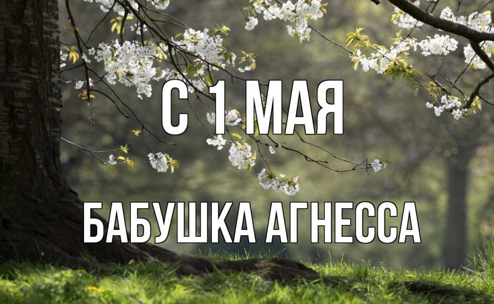 Открытка на каждый день с именем, Бабушка-Агнесса С 1 мая С 1 мая Прикольная открытка с пожеланием онлайн скачать бесплатно 