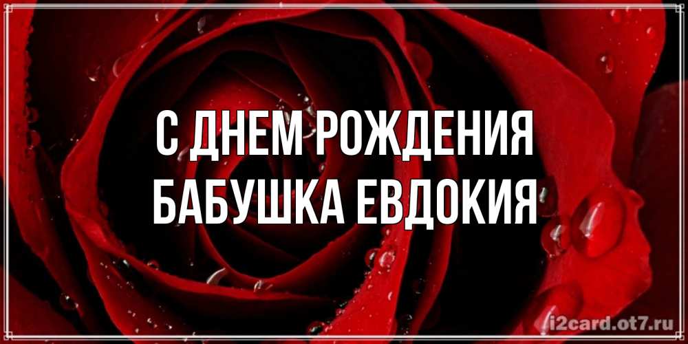 Открытка на каждый день с именем, Бабушка-Евдокия С днем рождения крупная бордовая роза Прикольная открытка с пожеланием онлайн скачать бесплатно 