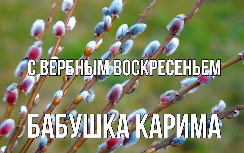 Открытка на каждый день с именем, Бабушка-Карима С вербным воскресеньем верба Прикольная открытка с пожеланием онлайн скачать бесплатно 