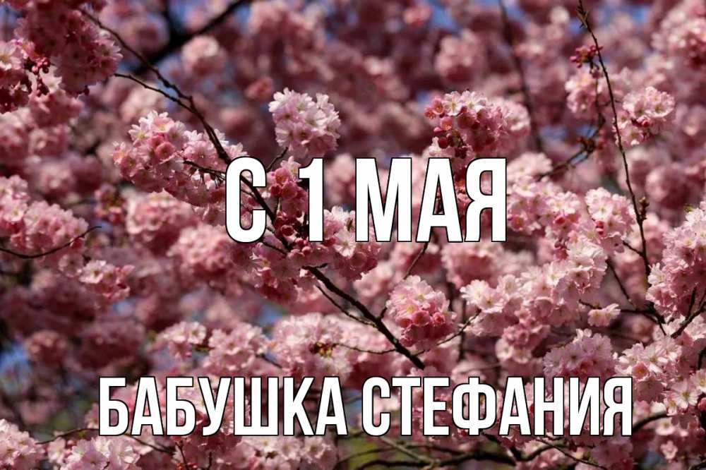 Открытка на каждый день с именем, Бабушка-Стефания С 1 мая С 1 мая Прикольная открытка с пожеланием онлайн скачать бесплатно 