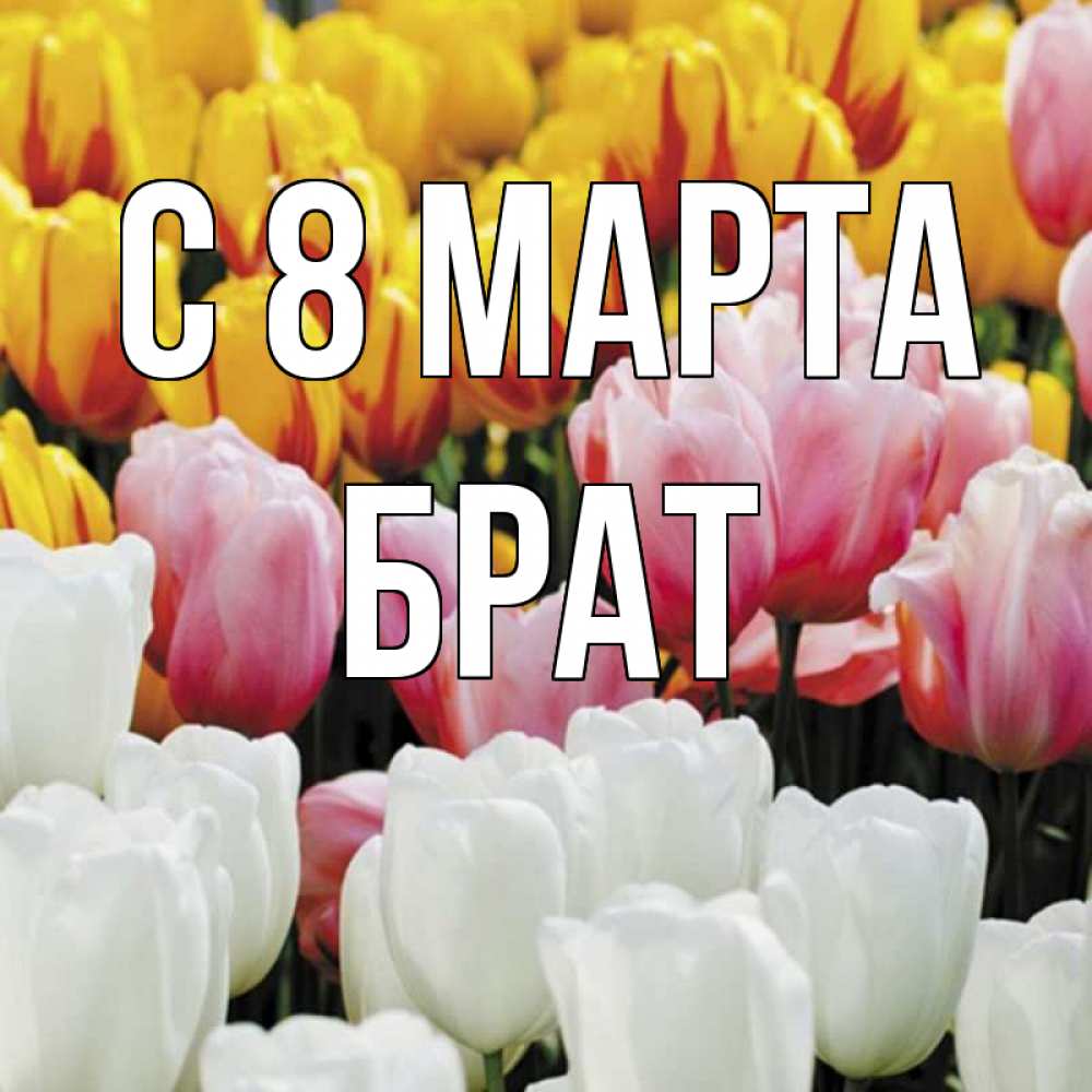 Открытка на каждый день с именем, Брат С 8 марта разноцветные цветы Прикольная открытка с пожеланием онлайн скачать бесплатно 