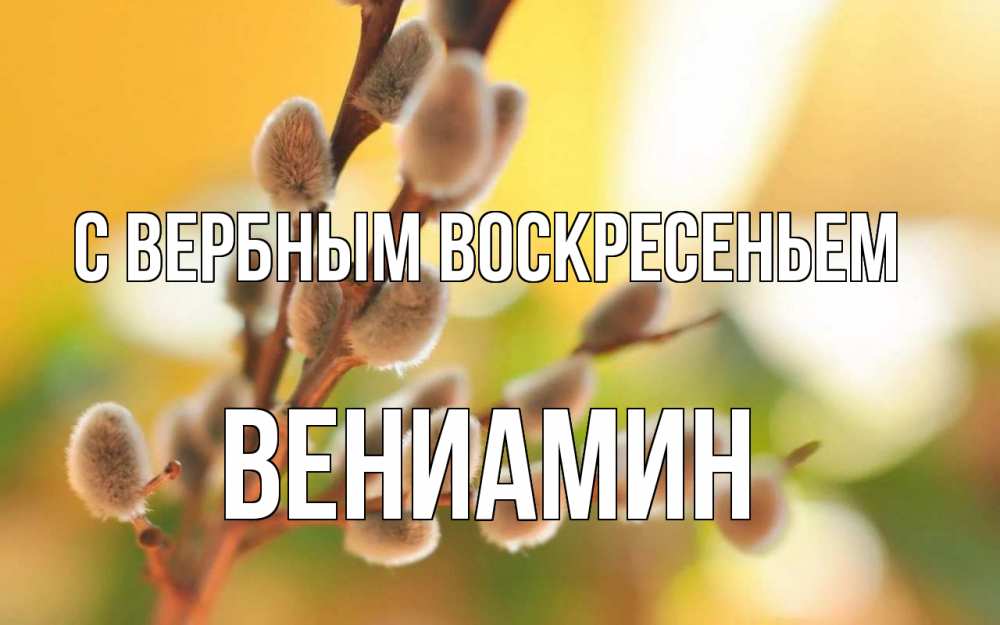 Открытка на каждый день с именем, Вениамин С вербным воскресеньем верба Прикольная открытка с пожеланием онлайн скачать бесплатно 