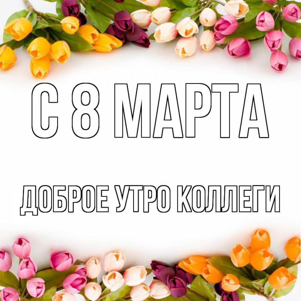 Открытка на каждый день с именем, Доброе-утро-Коллеги С 8 марта весна март Прикольная открытка с пожеланием онлайн скачать бесплатно 