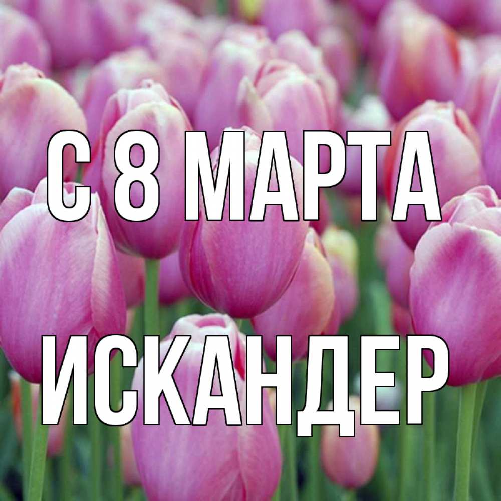 Открытка на каждый день с именем, Искандер С 8 МАРТА на международный женский день 3 Прикольная открытка с пожеланием онлайн скачать бесплатно 