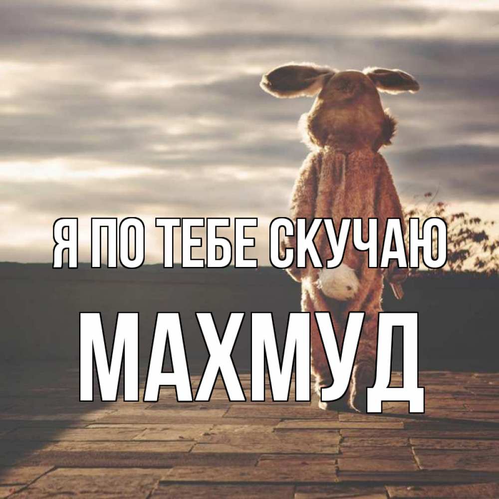 Открытка на каждый день с именем, Махмуд Я по тебе скучаю даже в костюме зайца Прикольная открытка с пожеланием онлайн скачать бесплатно 
