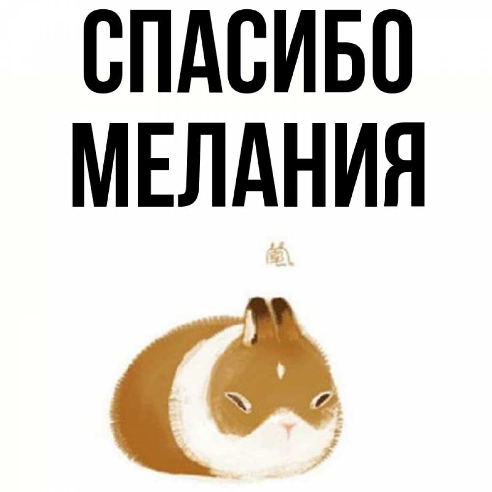 Открытка на каждый день с именем, Мелания Спасибо коричнево белый домашний питомец Прикольная открытка с пожеланием онлайн скачать бесплатно 