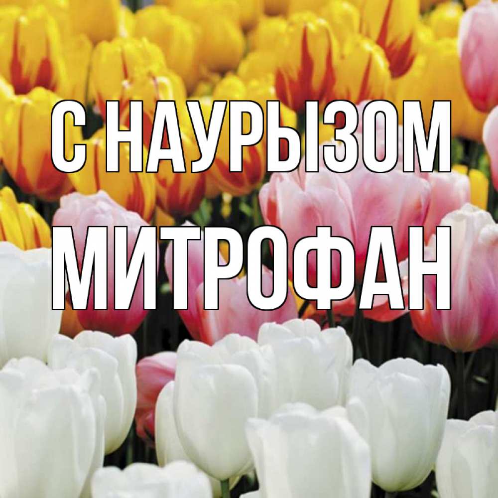 Открытка на каждый день с именем, Митрофан С наурызом разноцветные цветы Прикольная открытка с пожеланием онлайн скачать бесплатно 