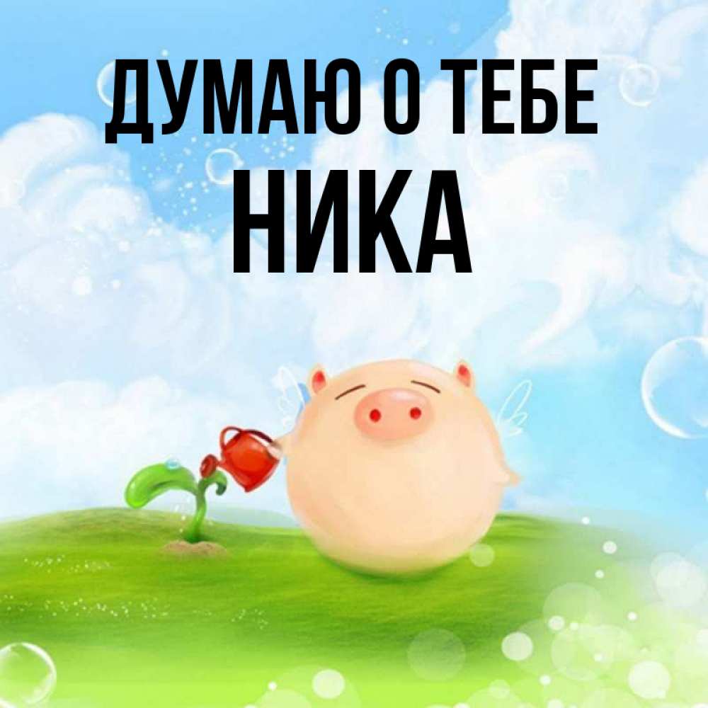 Открытка на каждый день с именем, Ника Думаю о тебе позитивная свинюшка Прикольная открытка с пожеланием онлайн скачать бесплатно 