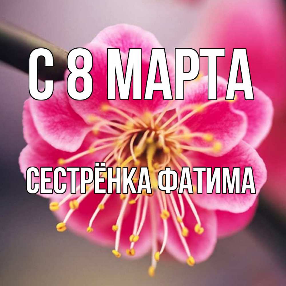 Открытка на каждый день с именем, Сестрёнка-Фатима С 8 МАРТА цветы Прикольная открытка с пожеланием онлайн скачать бесплатно 