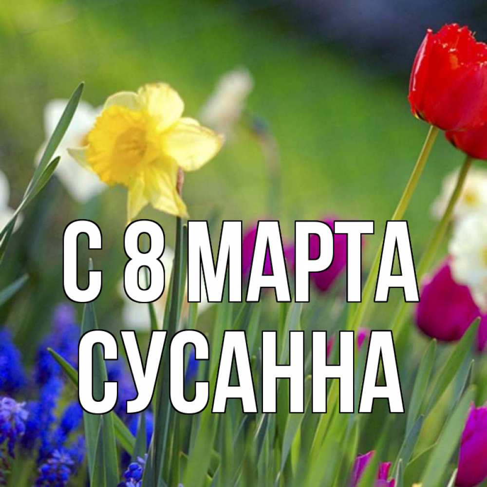 Открытка на каждый день с именем, Сусанна С 8 марта международный женский день 3 Прикольная открытка с пожеланием онлайн скачать бесплатно 