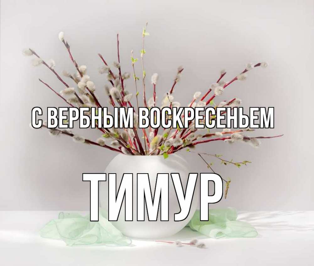 Открытка на каждый день с именем, Тимур С вербным воскресеньем верба Прикольная открытка с пожеланием онлайн скачать бесплатно 