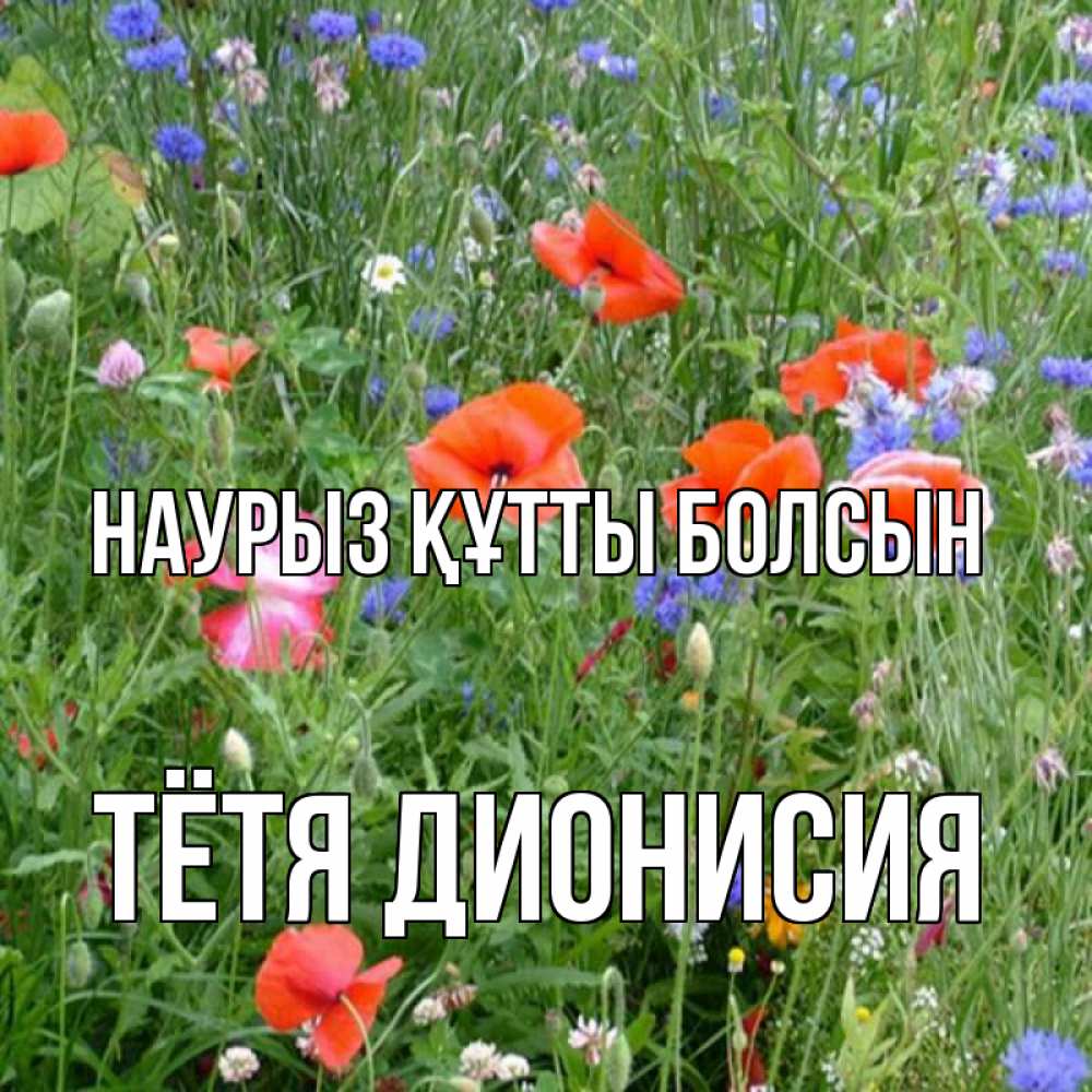 Открытка на каждый день с именем, Тётя-Дионисия Наурыз құтты болсын наурыз  4 Прикольная открытка с пожеланием онлайн скачать бесплатно 