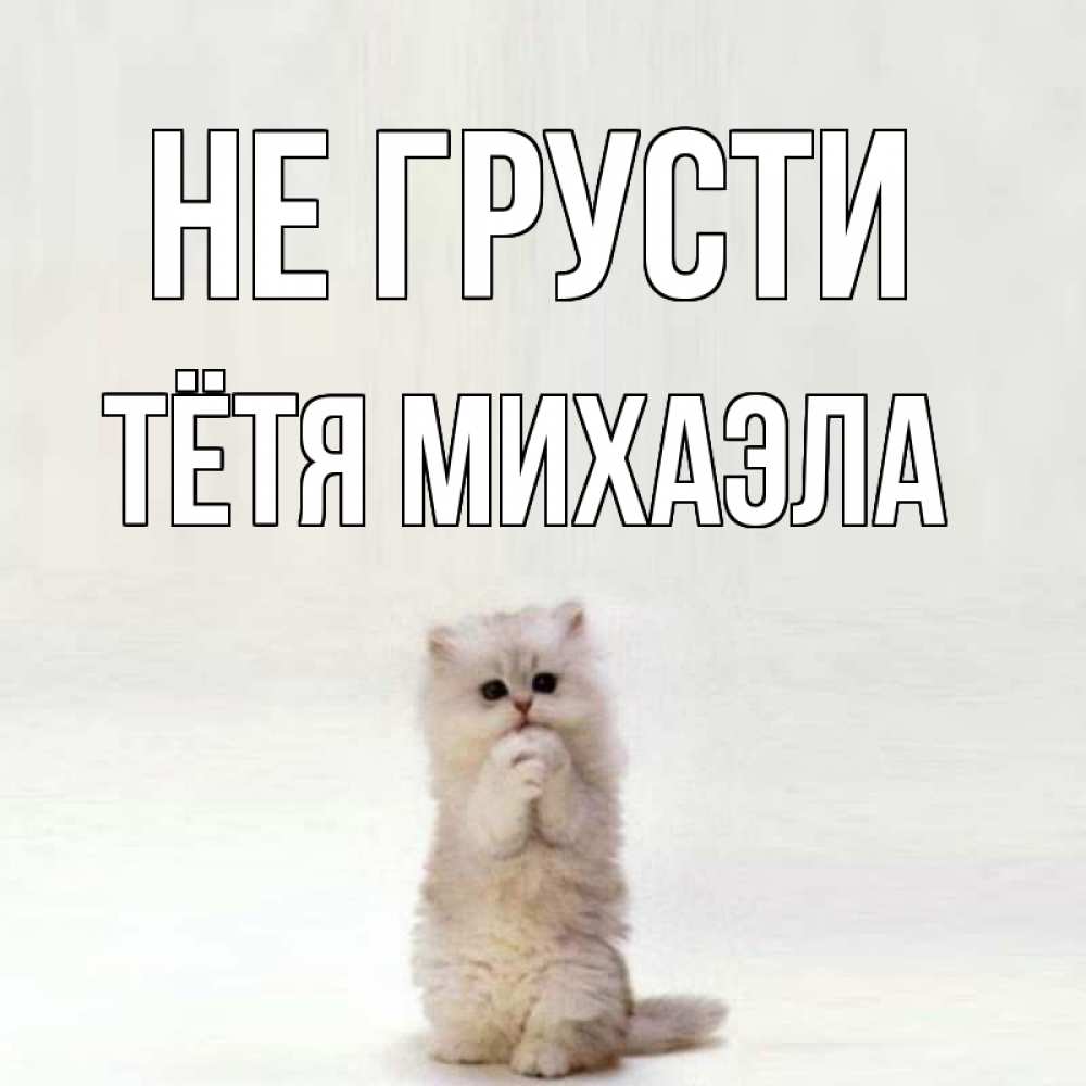 Открытка на каждый день с именем, Тётя-Михаэла Не грусти грустный кот Прикольная открытка с пожеланием онлайн скачать бесплатно 