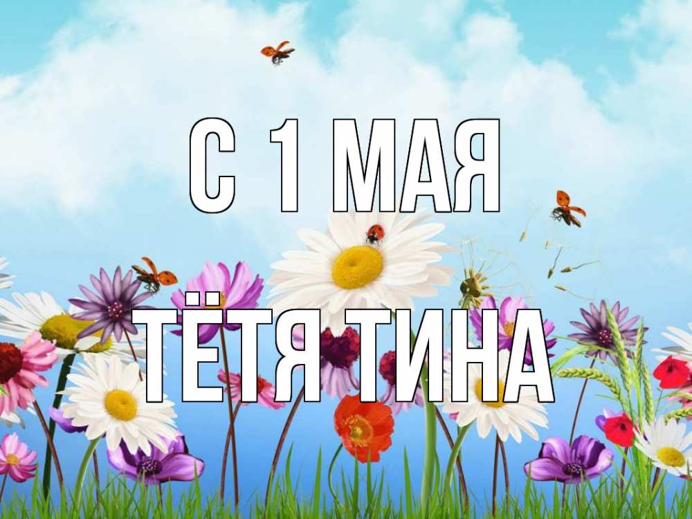 Открытка на каждый день с именем, Тётя-Тина С 1 мая С 1 мая Прикольная открытка с пожеланием онлайн скачать бесплатно 