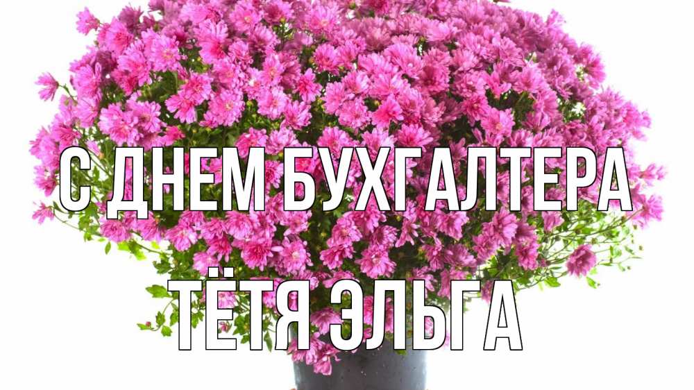 Открытка на каждый день с именем, Тётя-Эльга С днем бухгалтера с днем бухгалтера Прикольная открытка с пожеланием онлайн скачать бесплатно 