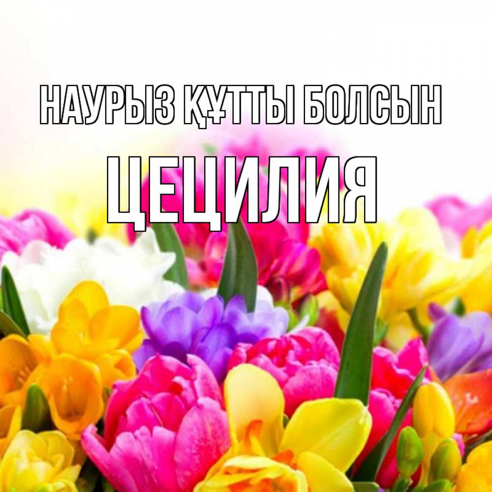Открытка на каждый день с именем, Цецилия Наурыз құтты болсын тюльпаны Прикольная открытка с пожеланием онлайн скачать бесплатно 