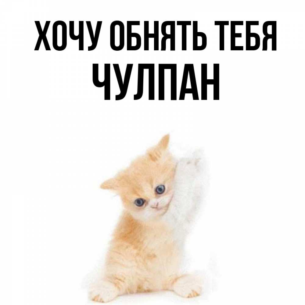 Открытка на каждый день с именем, Чулпан Хочу обнять тебя я хочу очень скорее обнимаешек Прикольная открытка с пожеланием онлайн скачать бесплатно 