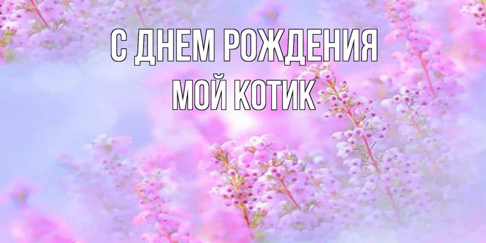 Открытка на каждый день с именем, мой-Котик С днем рождения красивая открытка с мелкими цветами Прикольная открытка с пожеланием онлайн скачать бесплатно 