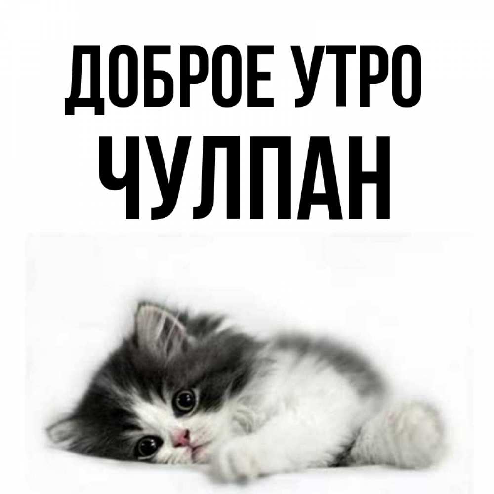 Открытка на каждый день с именем, Чулпан Доброе утро кот лапки Прикольная открытка с пожеланием онлайн скачать бесплатно 
