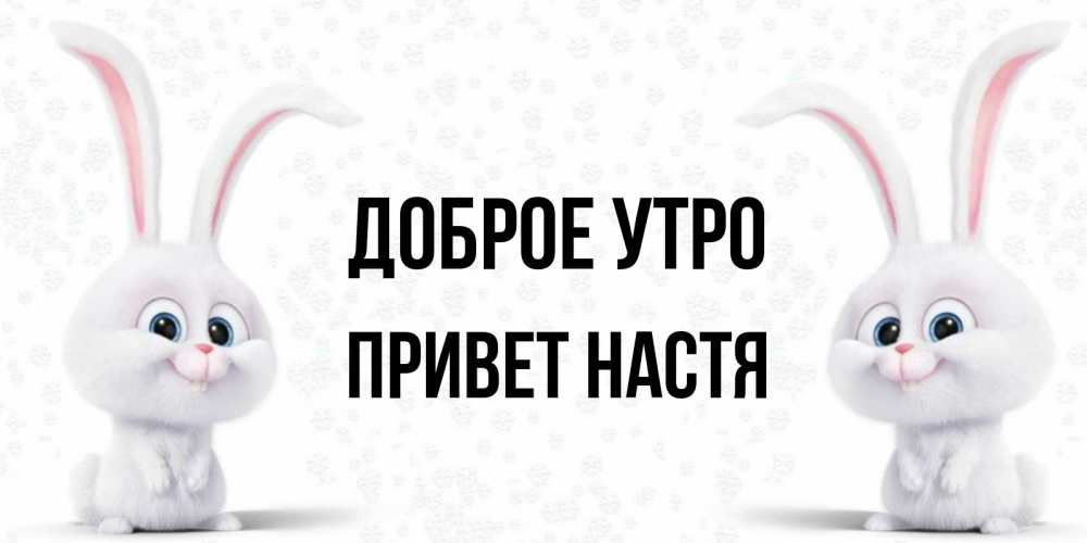 Привет насть пожалуйста. Доброе утро Настя привет. Настя привет открытки. Доброе утро Настя картинки. Настя зайчик.