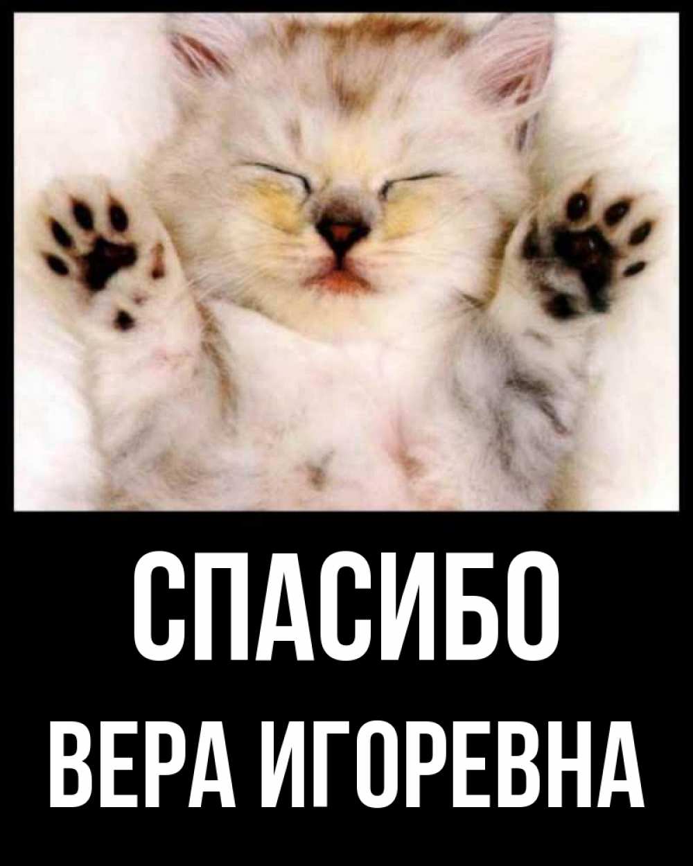 Спасибо Вера