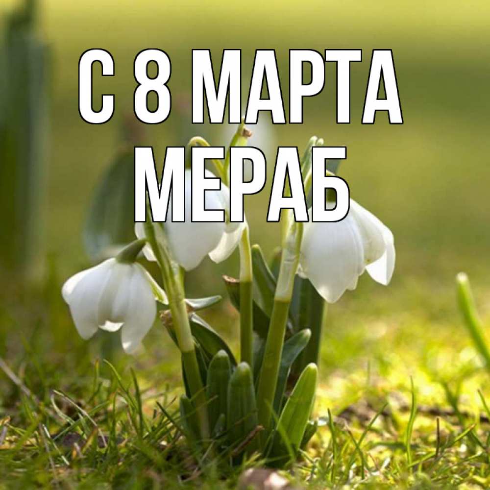 Открытка на каждый день с именем, Мераб С 8 МАРТА ранние цветы 2 Прикольная открытка с пожеланием онлайн скачать бесплатно 