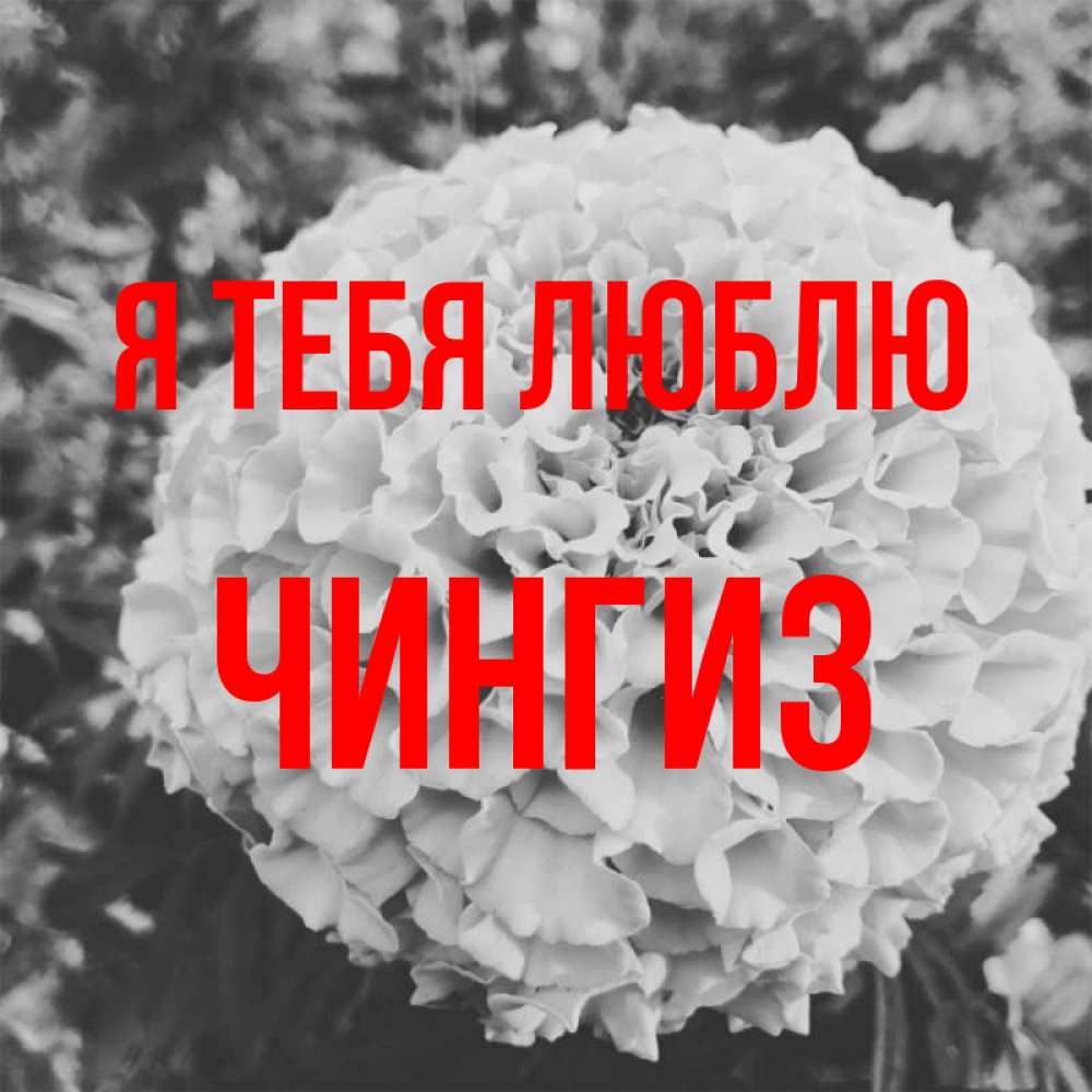 Песня соль на раны. Не забывай что я тебя люблю. Не забывай что я тебя люблю картинки. Ульяна я тебя люблю. Не забудь я тебя люблю.