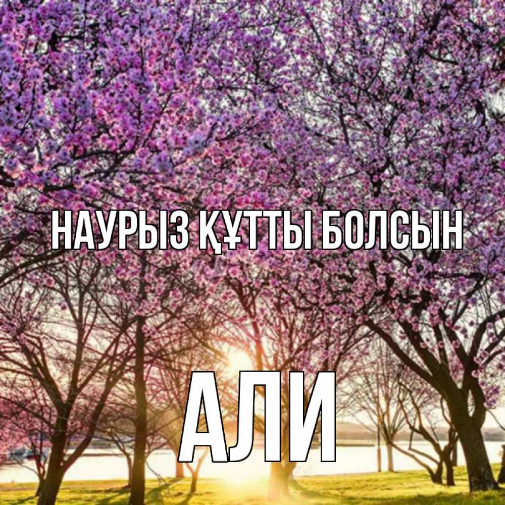 Открытка на каждый день с именем, Али Наурыз құтты болсын наурыз Прикольная открытка с пожеланием онлайн скачать бесплатно 