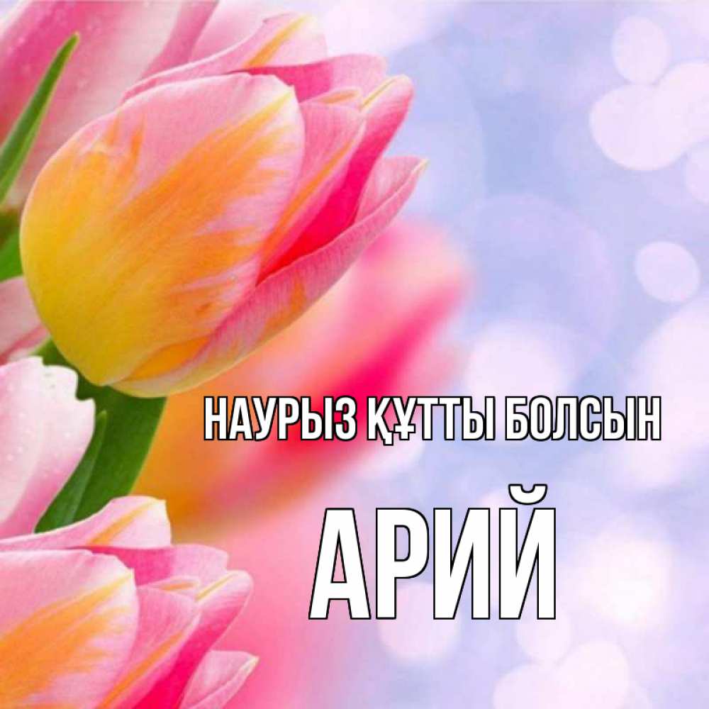 Открытка на каждый день с именем, Арий Наурыз құтты болсын тюльпаны 2 Прикольная открытка с пожеланием онлайн скачать бесплатно 