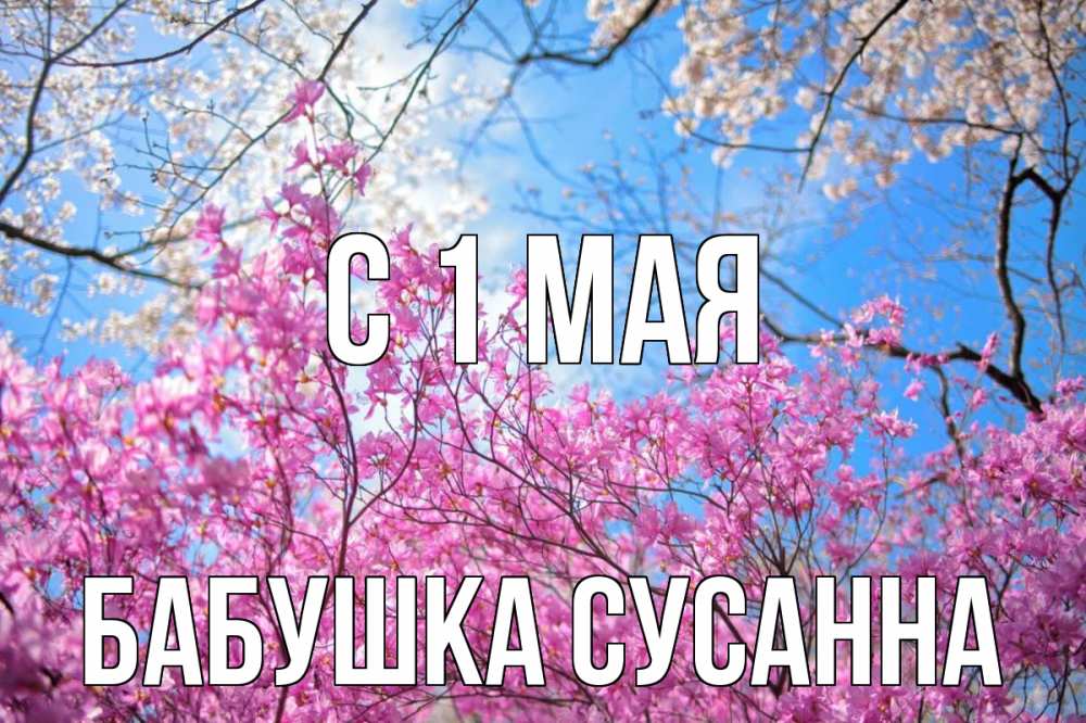 Открытка на каждый день с именем, Бабушка-Сусанна С 1 мая С 1 мая Прикольная открытка с пожеланием онлайн скачать бесплатно 