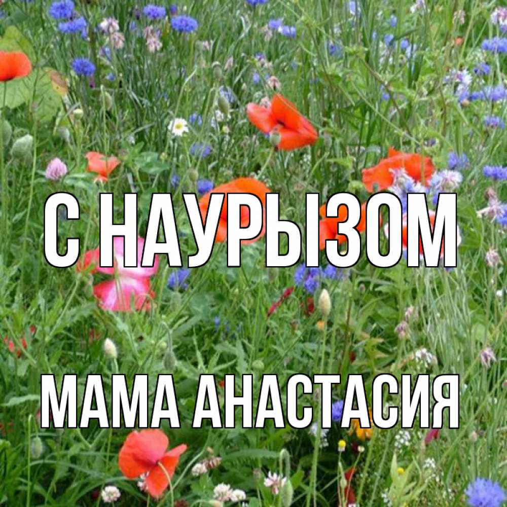 Открытка на каждый день с именем, Мама-Анастасия С наурызом праздник весны наурыз супер открытка Прикольная открытка с пожеланием онлайн скачать бесплатно 
