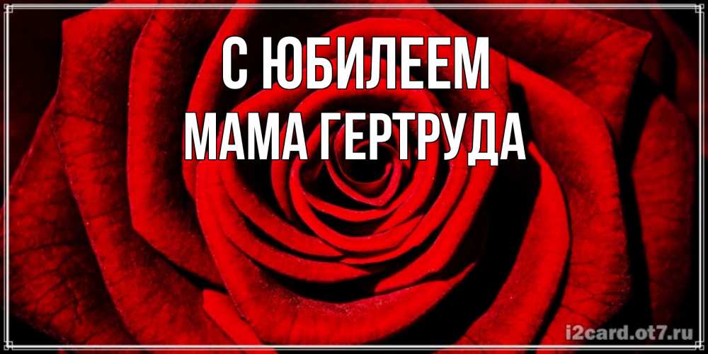 Открытка на каждый день с именем, Мама-Гертруда С юбилеем алая роза Прикольная открытка с пожеланием онлайн скачать бесплатно 