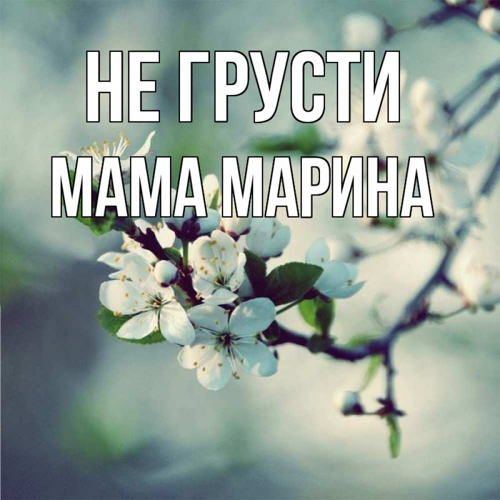 Открытка на каждый день с именем, Мама-Марина Не грусти яблоня в цвету 1 Прикольная открытка с пожеланием онлайн скачать бесплатно 