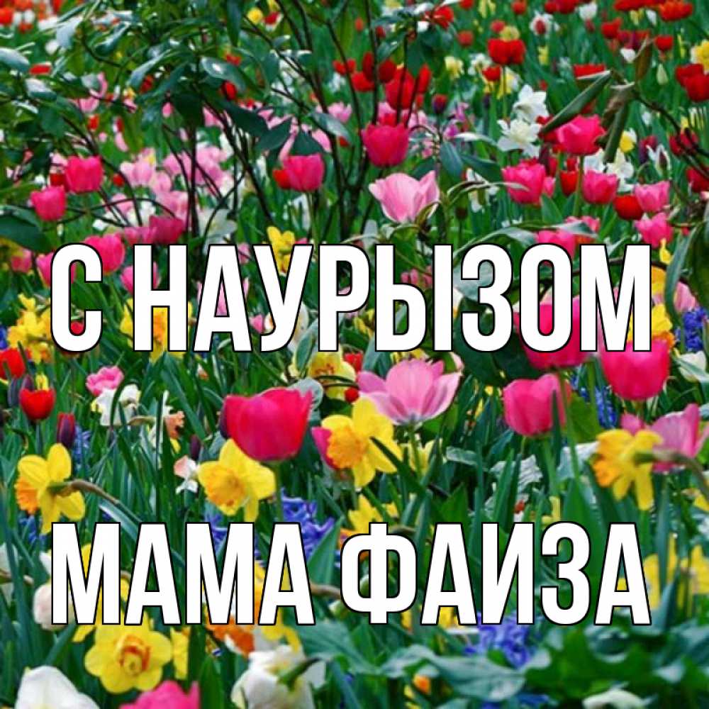 Открытка на каждый день с именем, Мама-Фаиза С наурызом с наурызом праздником весны поздравления для женщины Прикольная открытка с пожеланием онлайн скачать бесплатно 