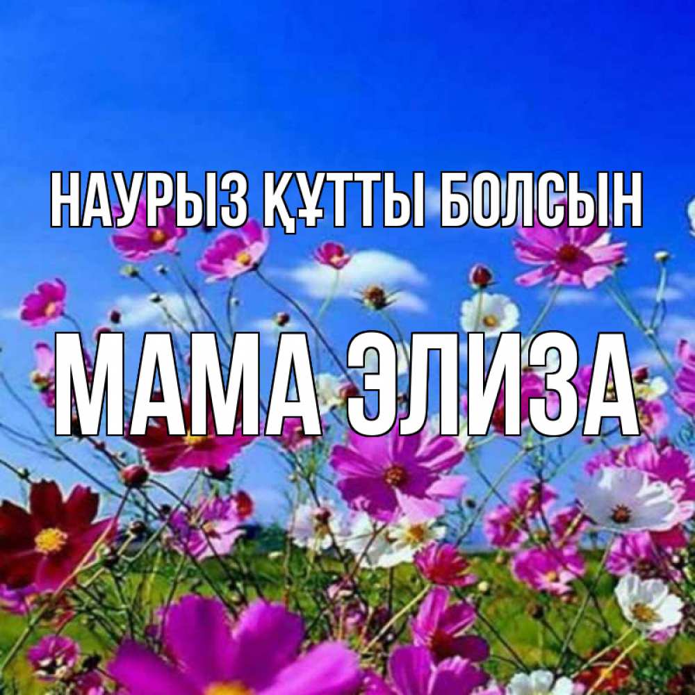Открытка на каждый день с именем, Мама-Элиза Наурыз құтты болсын цветы Прикольная открытка с пожеланием онлайн скачать бесплатно 