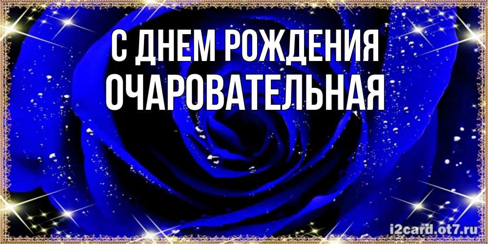 Открытка на каждый день с именем, Очаровательная С днем рождения голубые цветы в росе Прикольная открытка с пожеланием онлайн скачать бесплатно 
