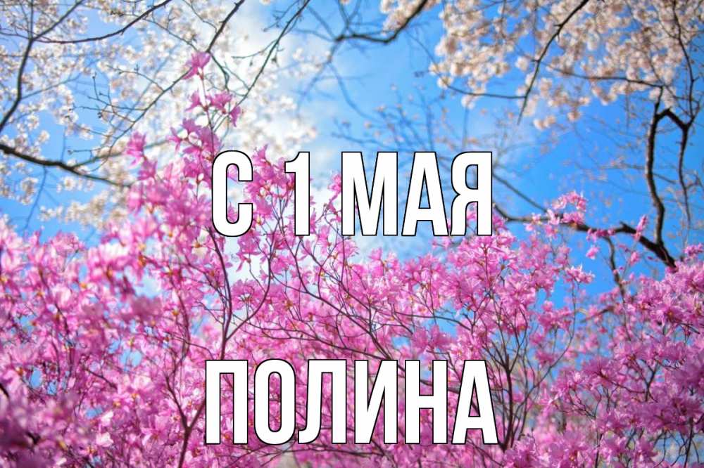 Открытка на каждый день с именем, Полина С 1 мая С 1 мая Прикольная открытка с пожеланием онлайн скачать бесплатно 