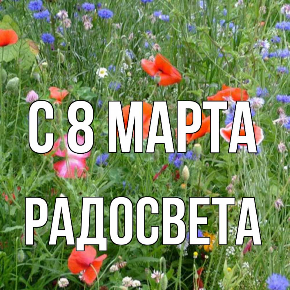 Открытка на каждый день с именем, Радосвета С 8 МАРТА международный женский день 4 Прикольная открытка с пожеланием онлайн скачать бесплатно 