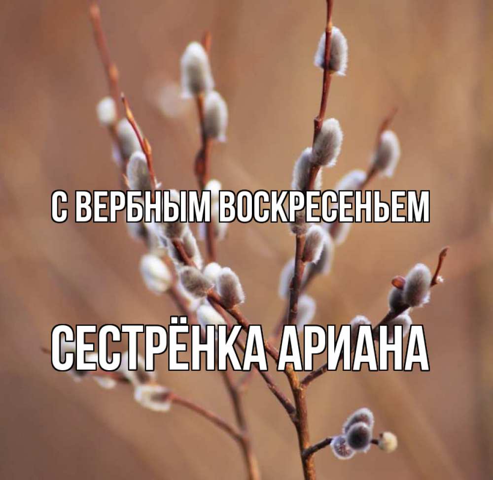 Открытка на каждый день с именем, Сестрёнка-Ариана С вербным воскресеньем верба Прикольная открытка с пожеланием онлайн скачать бесплатно 