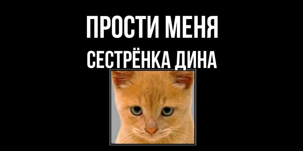 Открытка на каждый день с именем, Сестрёнка-Дина Прости меня рыжий грустный кот просит прощения Прикольная открытка с пожеланием онлайн скачать бесплатно 