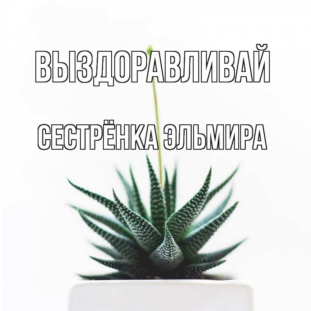 Открытка на каждый день с именем, Сестрёнка-Эльмира Выздоравливай короче это непонятная колючка Прикольная открытка с пожеланием онлайн скачать бесплатно 