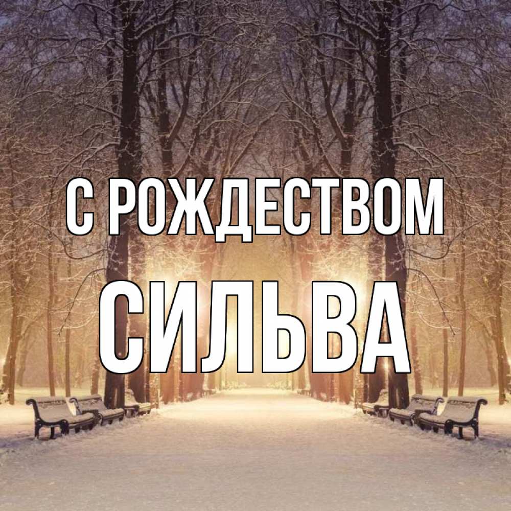 Открытка на каждый день с именем, Сильва С рождеством зима, парк, фонарь, лес Прикольная открытка с пожеланием онлайн скачать бесплатно 