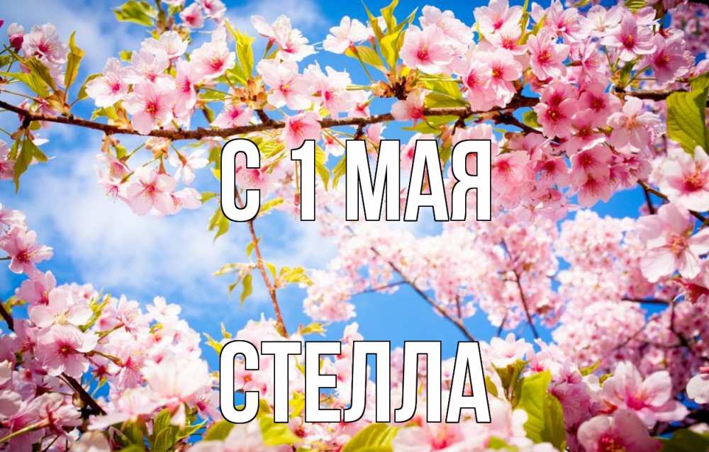 Открытка на каждый день с именем, Стелла С 1 мая С 1 мая Прикольная открытка с пожеланием онлайн скачать бесплатно 