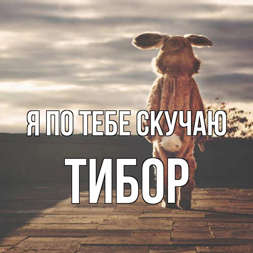 Открытка на каждый день с именем, Тибор Я по тебе скучаю даже в костюме зайца Прикольная открытка с пожеланием онлайн скачать бесплатно 
