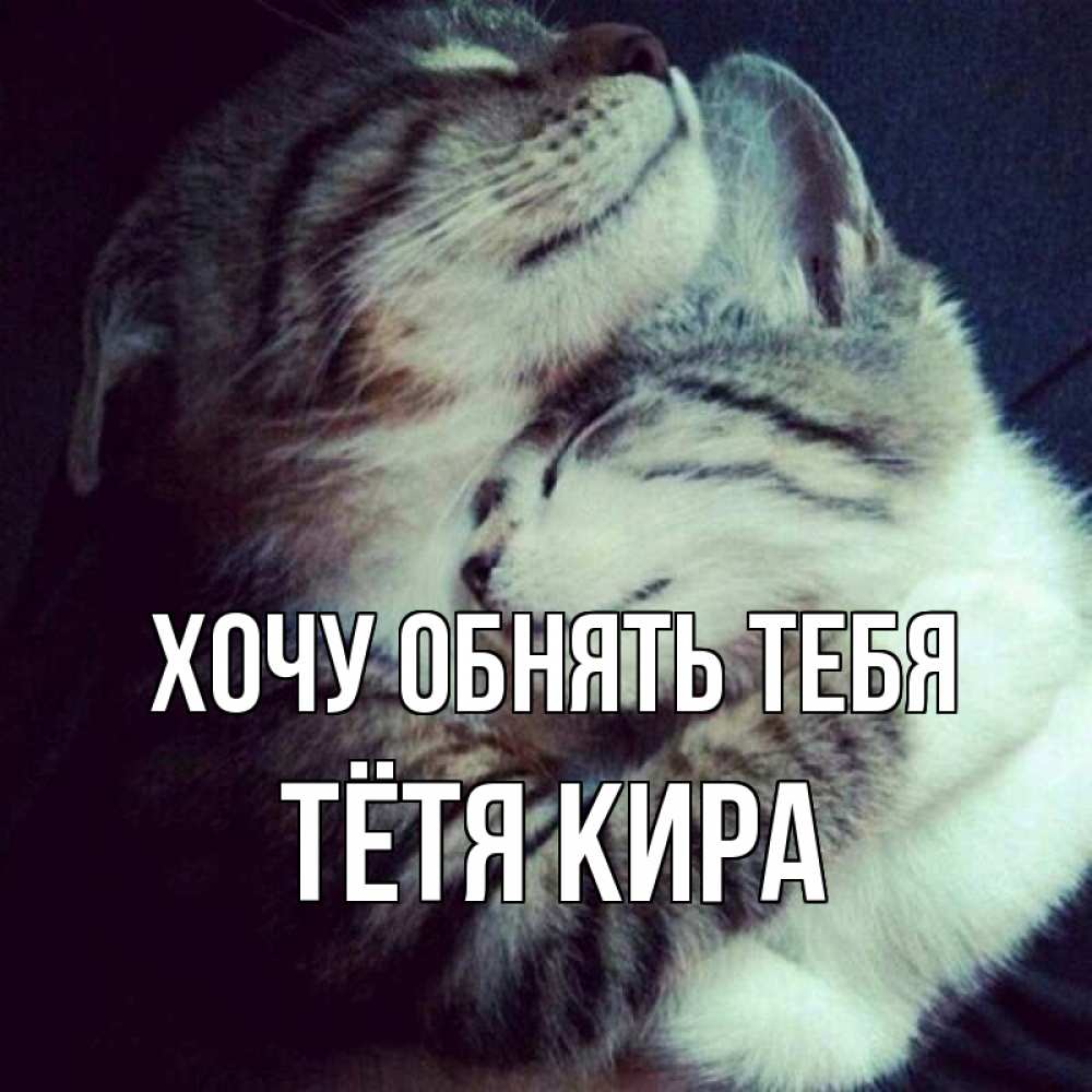 Открытка на каждый день с именем, Тётя-Кира Хочу обнять тебя полосатики Прикольная открытка с пожеланием онлайн скачать бесплатно 