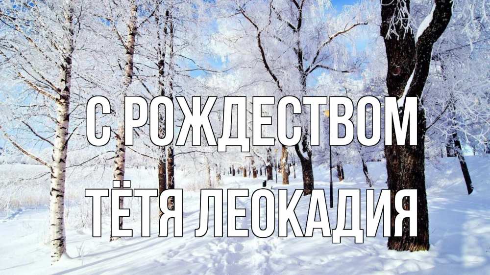 Открытка на каждый день с именем, Тётя-Леокадия С рождеством зимний лес Прикольная открытка с пожеланием онлайн скачать бесплатно 