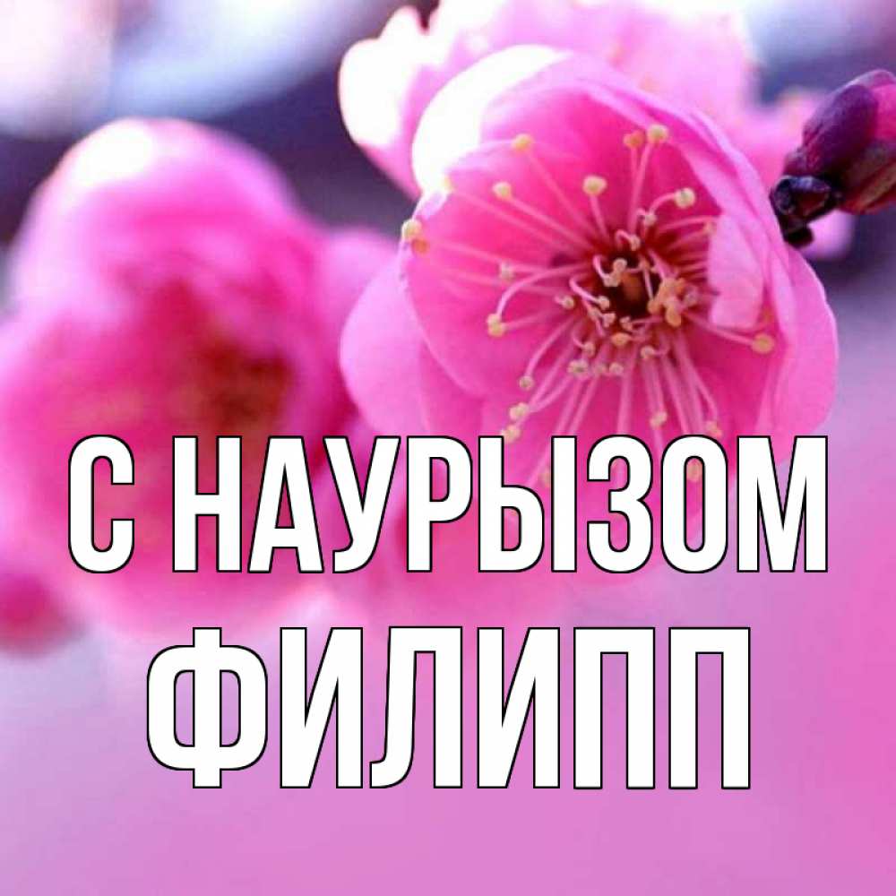 Открытка на каждый день с именем, Филипп С наурызом международный женский день Прикольная открытка с пожеланием онлайн скачать бесплатно 