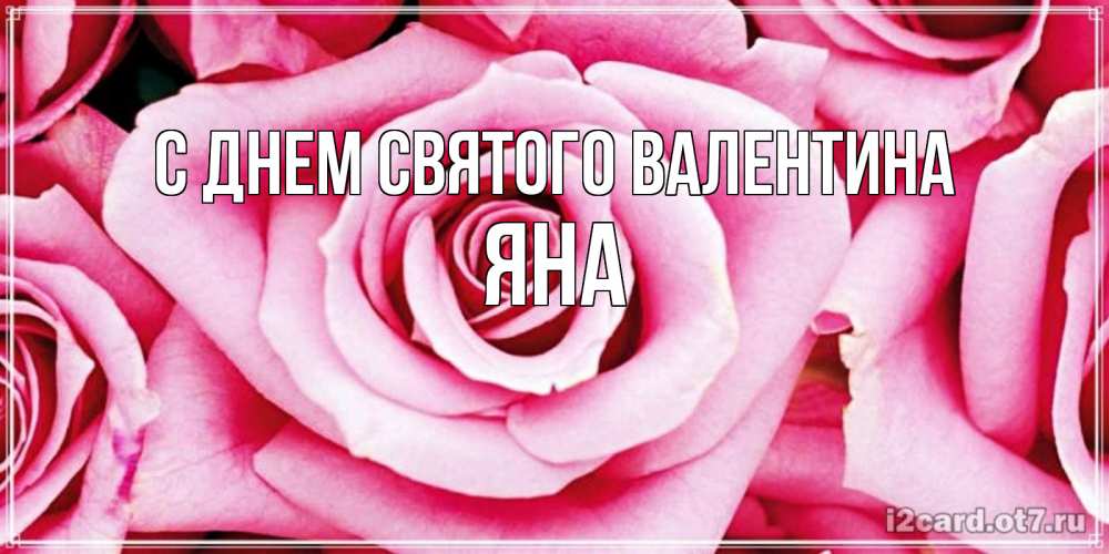 Открытка на каждый день с именем, Яна С днем Святого Валентина роза розовая на день Святого Валентина Прикольная открытка с пожеланием онлайн скачать бесплатно 