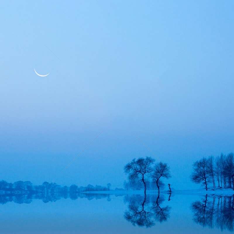 Открытка отражения деревьев в воде  весна  Спокойной ночи 